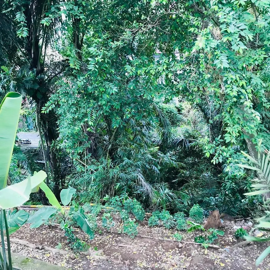 Griya Telaga Jumpung Διαμέρισμα Ουμπούντ 0*,  Ινδονησία